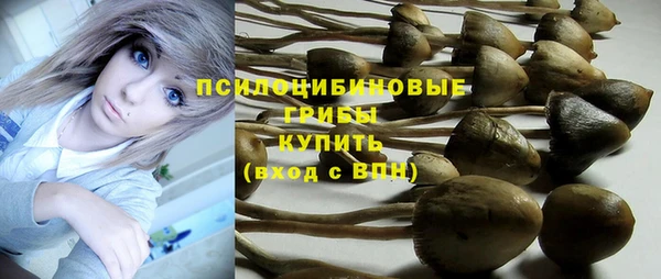 МДМА Дмитров