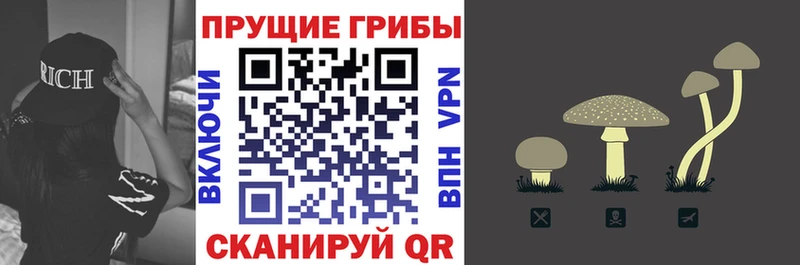ссылка на мегу маркетплейс  Ишим  Галлюциногенные грибы Magic Shrooms  где купить  